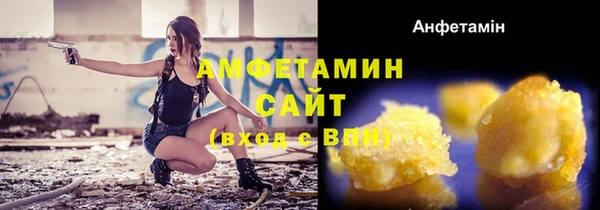сатива Арсеньев