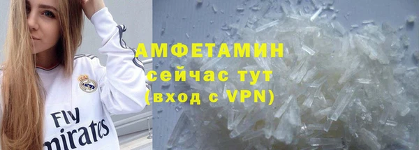 сатива Арсеньев