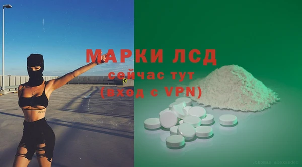 сатива Арсеньев