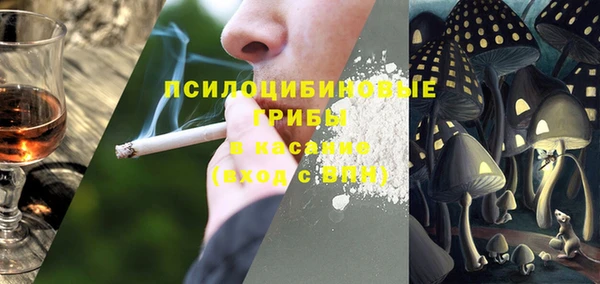 сатива Арсеньев